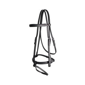 Bridle