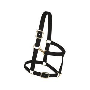 Imported Leather Horse Riding Bridle